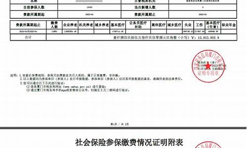 个人二手车保证金查询-二手车保单查询